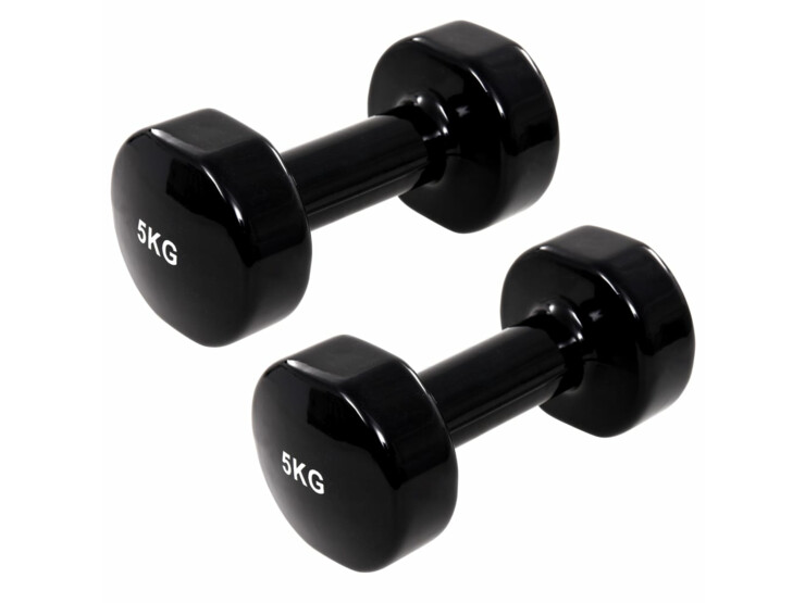 vida XL Činky dumbell 2 ks 2 x 5 kg litina černé