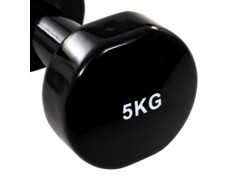 vida XL Činky dumbell 2 ks 2 x 5 kg litina černé