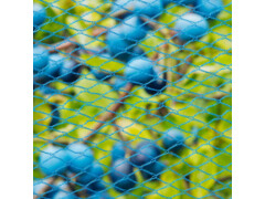 423502 Nature Bird Netting "Nano" 10x4 m Blue